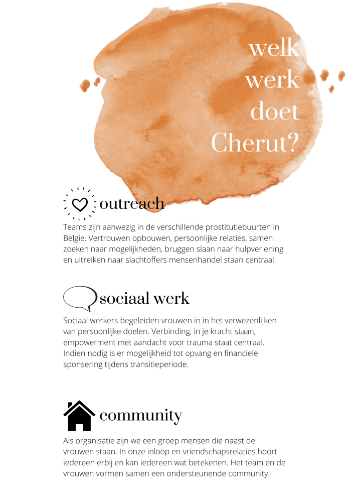 POSTER welk werk doet Cherut 2